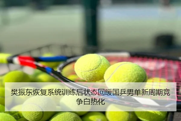 樊振东恢复系统训练后状态回暖国乒男单新周期竞争白热化